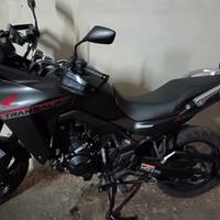 Honda XL 750 Transalp - 2024