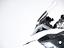 Immagine 29