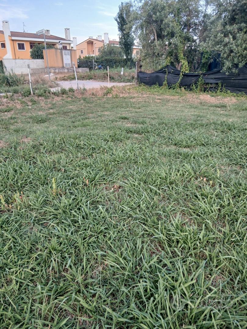 Terreno agricolo - Vista 2