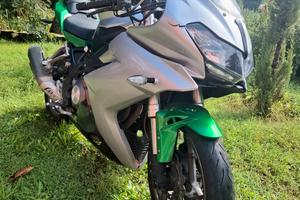 BENELLI  BN 302 R