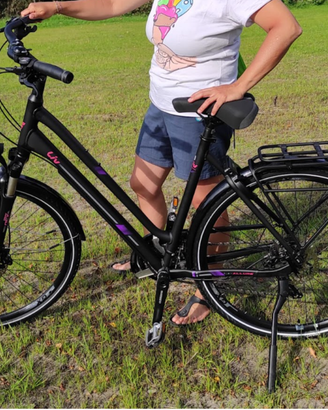 Bicicletta donna Giant Liv cicloturismo