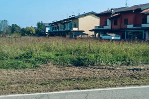 Terino