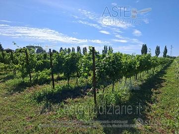 Terreno Agricolo Romans d'Isonzo [A4343404]