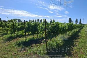 Terreno Agricolo Romans d'Isonzo [A4343404]
