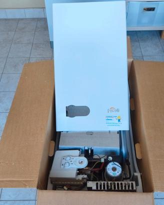 caldaia Ferroli Domiproject C24 24KW