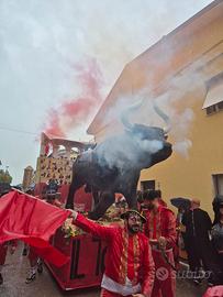 carro carnevale toro 