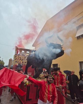 carro carnevale toro 