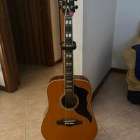 chitarra acustica Eco