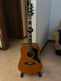 chitarra acustica Eco