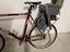 Immagine 2
