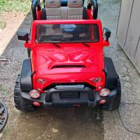 non più idonea per mio nipote, 