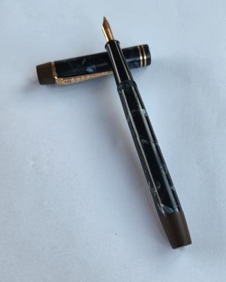 Penna Stilografica Vintage Onoto Delarue 6233