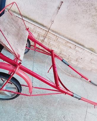 chinghetta per mini trotter 