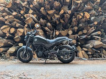 Benelli Leoncino 500