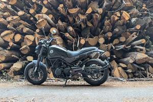 Benelli Leoncino 500