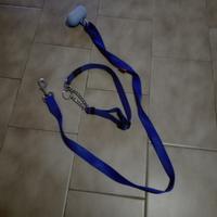 Guinzaglio collare cane