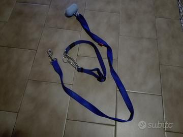Guinzaglio collare cane