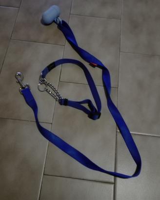 Guinzaglio collare cane