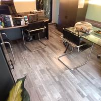 Attività d'Informatica ventennale