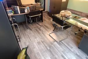 Attività d'Informatica ventennale