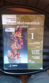 Nuova Matematica a colori Algebra edizione verde
