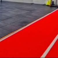 Turf ( erba sintetica)