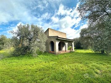 Ulivetto Fabricato e Pozzo Artesiano