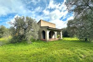 Ulivetto Fabricato e Pozzo Artesiano