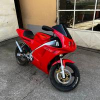 Vendita Cagiva prima 50