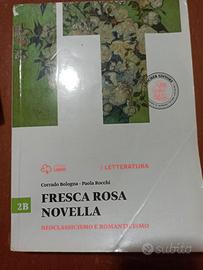 FRESCA ROSA NOVELLA 2B