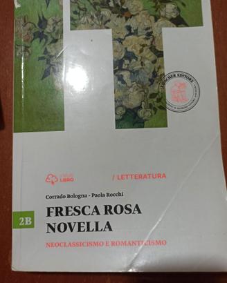 FRESCA ROSA NOVELLA 2B