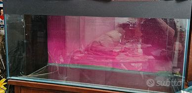 acquario 300 litri 