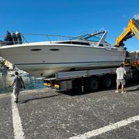 Sea ray 30