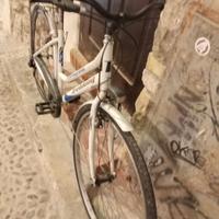 bici donna da passeggio