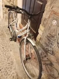 bici donna da passeggio