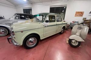 Fiat 1100 codine 1959
