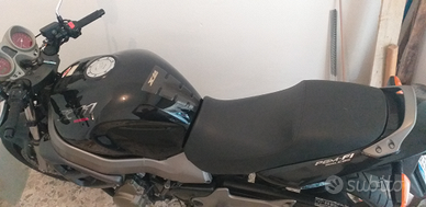 Honda 1100 x eleven '00