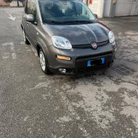 Fiat panda hybrid city life 2024