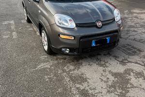 Fiat panda hybrid city life 2024