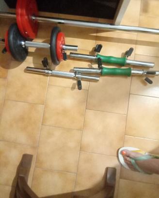 Set di due coppie di Manubri
