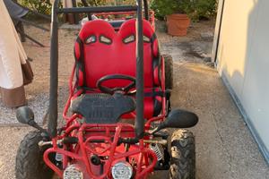 Buggy