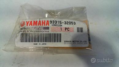 CUSCINETTO BRACCIO OSCILLANTE TTR 250 600 WR TUTTE