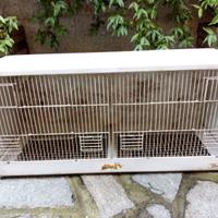 Gabbia per uccellini