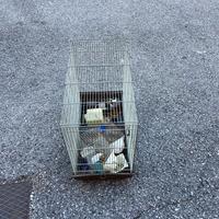 Gabbia per scoiattolo, uccelli ecc.
