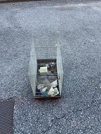 Gabbia per scoiattolo, uccelli ecc.