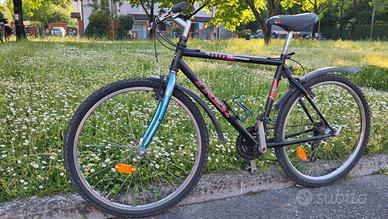 Bicicletta Mountain Bike