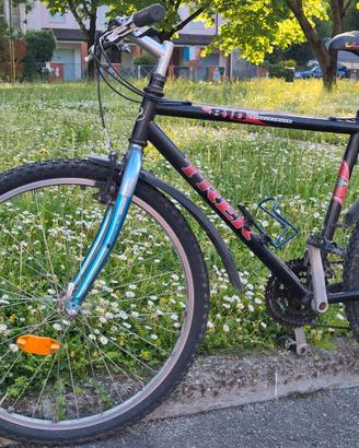 Bicicletta Mountain Bike
