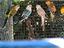 Immagine 5