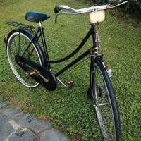 Bicicletta Raleight donna