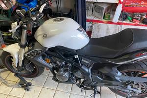 BENELLI BN302